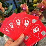 7 Days Unlimited DATA SIM CARD Vietnam - Who Would Benefit Most from This Tour?