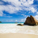 8-Day Sri Lanka Tour: History, nature, culture, wildlife - Why This Tour Offers Great Value