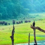 8 Days Kerala Private Tour (3 Star) with Munnar, Houseboat & Cab- Iris Holidays - What Makes This Tour Stand Out?