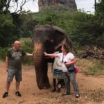 8 Days Private Guided Tour in Sri Lanka with accommodation (BB) - What Makes This Tour Stand Out?