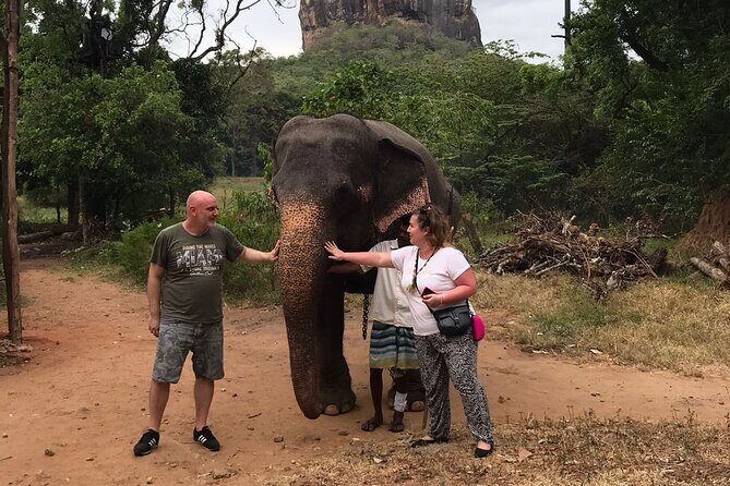 8 Days Private Guided Tour in Sri Lanka with accommodation (BB) - What Makes This Tour Stand Out?