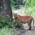 8 Days Tour in Nepal (Accommodation at 5 Star Hotel) - Who Is This Tour Best For?