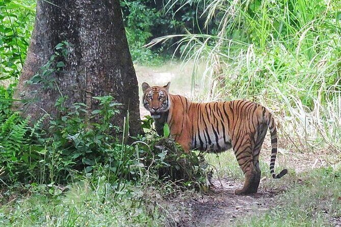 8 Days Tour in Nepal (Accommodation at 5 Star Hotel) - Who Is This Tour Best For?