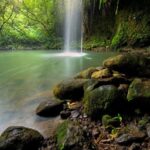 8 Hour Private Jungle Waterfall Tour from Maui - Final Thoughts