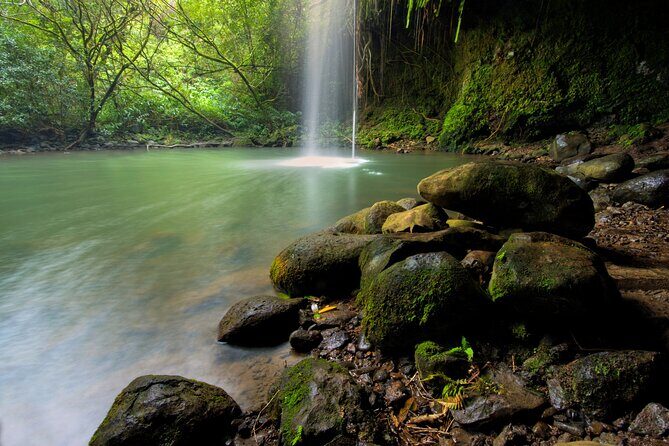 8 Hour Private Jungle Waterfall Tour from Maui - Final Thoughts