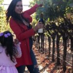 8 Hours 12 Passengers limo bus for Napa or Sonoma wine tour - Why Choose This Tour?