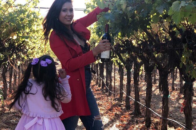 8 Hours 12 Passengers limo bus for Napa or Sonoma wine tour - Why Choose This Tour?