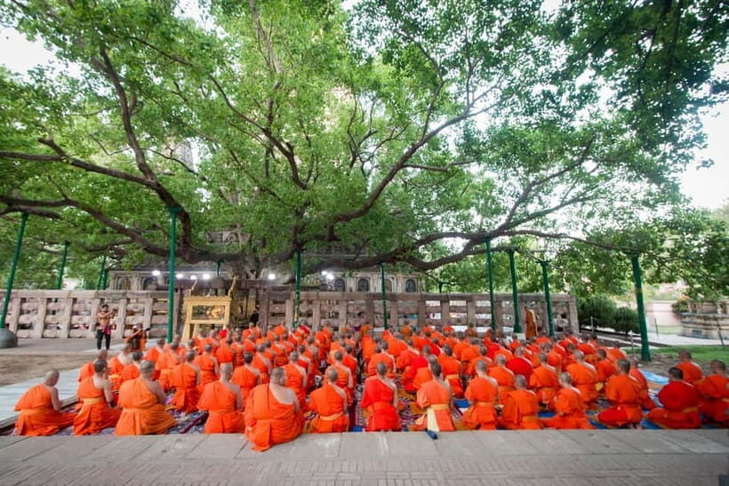 9-Day Buddha Enlightenment Tour of Sacred Sites - Who Should Consider This Tour?