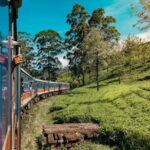 9 Days Guided Tour Through Sri Lanka - Who This Tour Is Best For