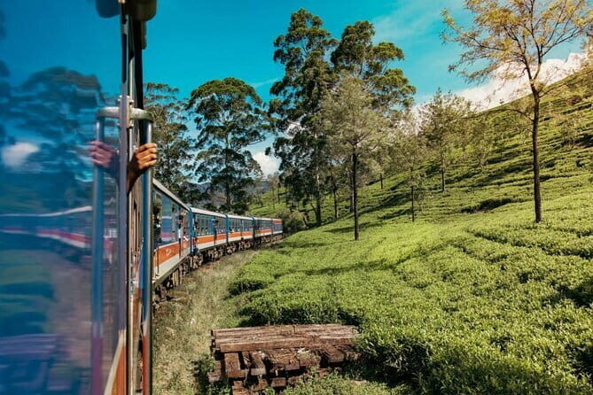 9 Days Guided Tour Through Sri Lanka - Who This Tour Is Best For