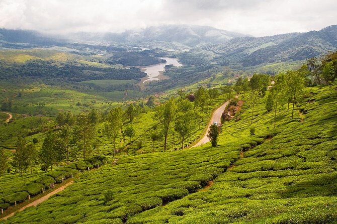 9 Days Private Exotic Kerala Tour - A Deep Dive into Kerala’s 9-Day Private Tour