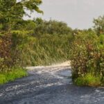 90 minute Everglades Airboat Tour near Orlando Florida - FAQ