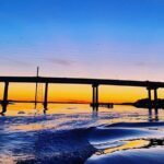 90 Minute Hilton Head Dolphin Tour - The Sum Up