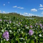 90 Minute Pontoon Cruise in Florida - Final Thoughts