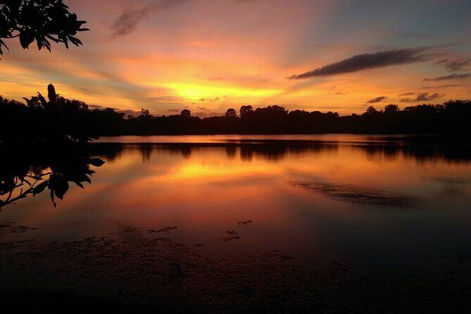 90-Minute Sunset paddle at Secret Lake Guided Kayak Tour in Casselberry - A Deep Dive Into the Secret Lake Sunset Kayak Tour
