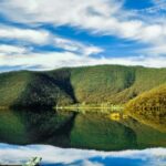 A Culinary Journey Through History and Nature - Practical Considerations and Value