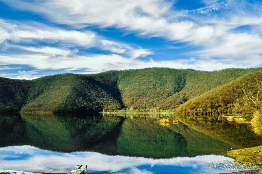 A Culinary Journey Through History and Nature - Practical Considerations and Value