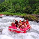 A Day Excursion to Kithulgala Rafting - Who Will Love This Tour?