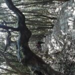 A day hike from Kathmandu to Bagadwaar - Who Should Book This Tour?