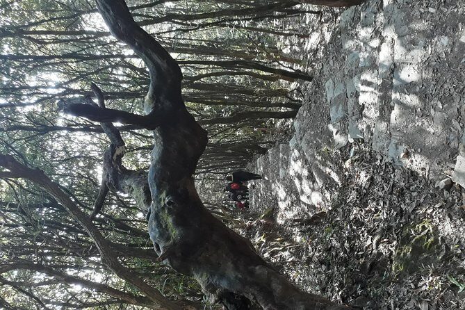 A day hike from Kathmandu to Bagadwaar - Who Should Book This Tour?