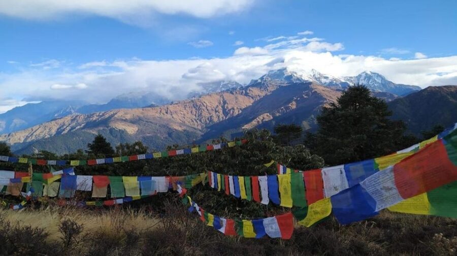 A day hiking from Kathmandu: Phulchowki Hill - Why This Tour Stands Out