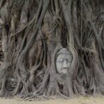 A Day in Ayutthaya: Private 5 UNESCO Temples Tour From Bangkok - What Makes This Tour Stand Out