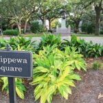 A Film History of Savannah Walking Tour - Practical Details and Value