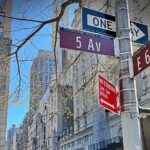 A Gilded Age Audio Guide: New York's Millionaire Row - Practical Details