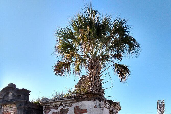 A Local's Garden District Tour - Who Will Love This Tour?