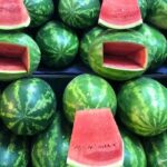 A Mexican Cooking Class - A Deep Dive into the Experience