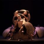 A O Show - Included: Tour guide, Car Pick Up And Drop Off - Who Will Love the A O Show?