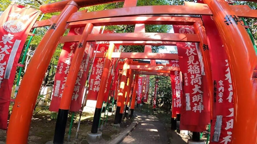 A private day in East Kyoto standard - Final Thoughts: Is This Tour Worth It?