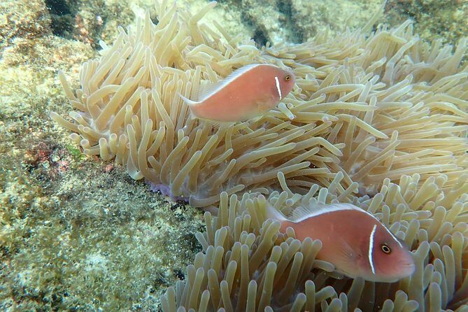 A private tour with Cable car & Boat trip to An Thoi islands - FAQ