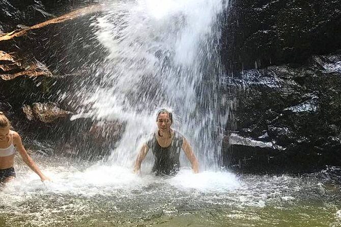 A Rendezvous with Nature - Templer Park and Kanching Waterfall Tour - Detailed Breakdown of the Tour Experience