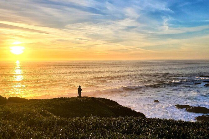 A Self-Guided Audio Tour Around Bodega Head - Practicalities and What to Expect