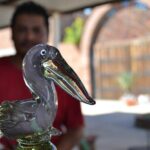 A taste of Los Cabos. A San Jose and Cabo San Lucas City Tour - Transportation and Group Size