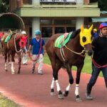 A tour to enjoy Japanese official gambling (horse racing, bicycle racing, pachinko) - An In-Depth Look at the Nagoya Gambling Tour
