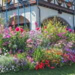 A Tour to Learn all about the international port city, Kobe! - The Sum Up