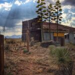 A Wine Tasting Experience in the Vineyards of the Desert - Frequently Asked Questions