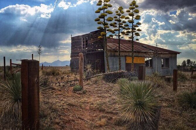 A Wine Tasting Experience in the Vineyards of the Desert - Frequently Asked Questions