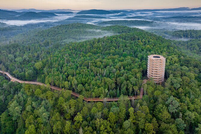 Access to Mont-Tremblant Treetop Observatory and Walk - What Makes It Special?