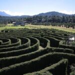 Admission to the Alpinia Nature and Adventure Park - Who Should Visit Alpinia?