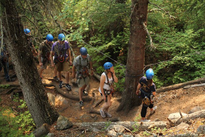 Adventure Parks & Zipline Tour - Why Travelers Keep Coming Back