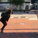 Adventurous Scavenger Hunt in Vancouver by Zombie Scavengers - In-Depth Breakdown of the Experience