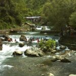 Affordable transfer from Delhi to Haridwar - A Deeper Look at the Experience