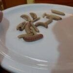 After the footsteps of Nacho Libre in Oaxaca - Practical Details and What to Expect