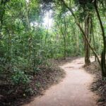 Afternoon Cu Chi Tunnels - Small Group Half-Day Tour - What Travelers Say
