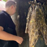 Afternoon Silk Island, Escape Phnom Penh & Temple by Tuk Tuk - Detailed Review of the Tour