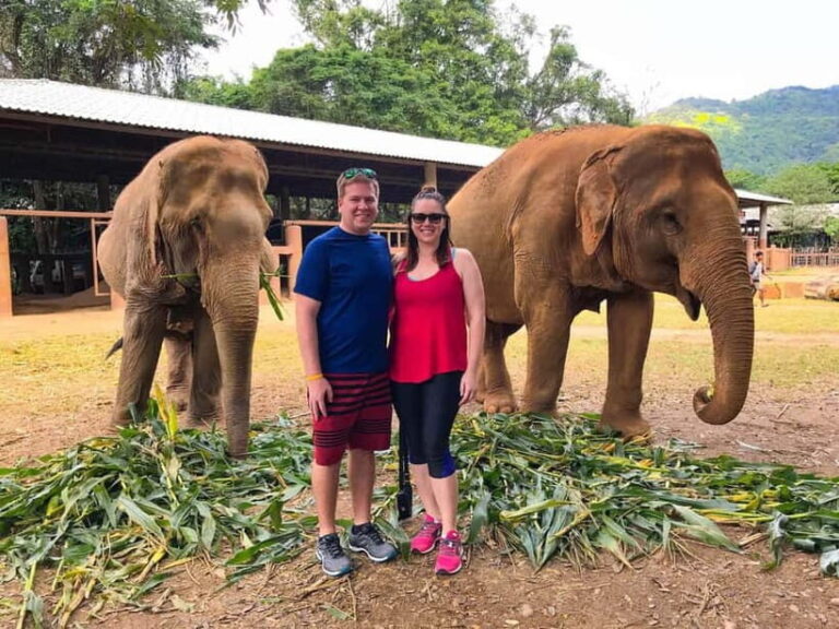 Agra: Taj Mahal, Fort & Elephant Sanctuary Private Tour - Who Will Benefit Most from This Tour?