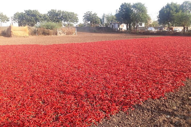 Agra To Bharatpur Same Day Tour with Fatehpur Sikri - Who Should Consider This Tour?